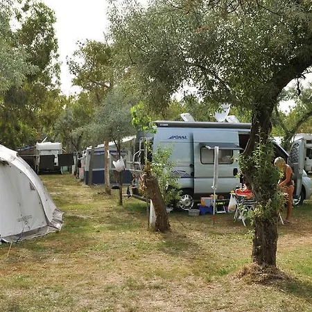 Camping Adriatico *